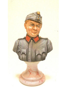 The good soldier Schwejk