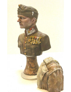 Flieger Ass, Julius Arigi