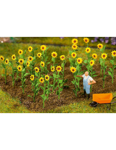 Sonnenblumen 16 Stk....