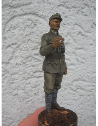 Austro-Hungarian WW1 Officer