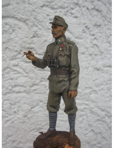 Austro-Hungarian WW1 Officer