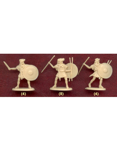 Roman Catapults