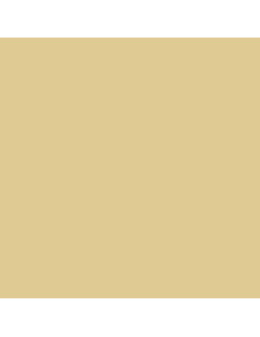 08 Beige 70.917 2