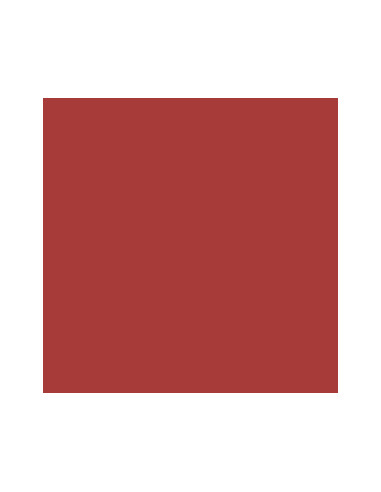 31 Tomatenrot 70.957