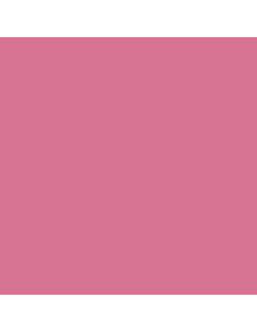 40 Rosa 70.958 2