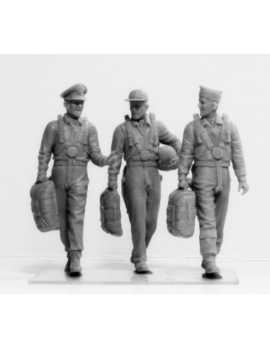 USAAF Pilots (1941-1945)