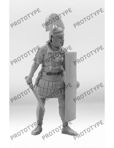 Roman Centurion (1 century)