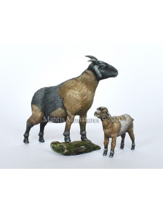 Animals Set 38