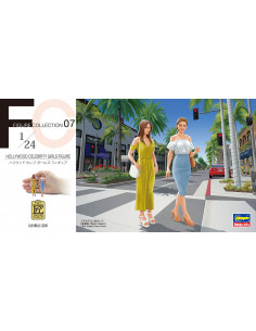 Hollywood Celebrity 1/24