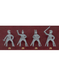 Napoleonic Austrian... 2