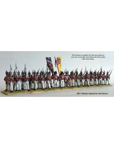Britische Linien Infanterie 1808-15