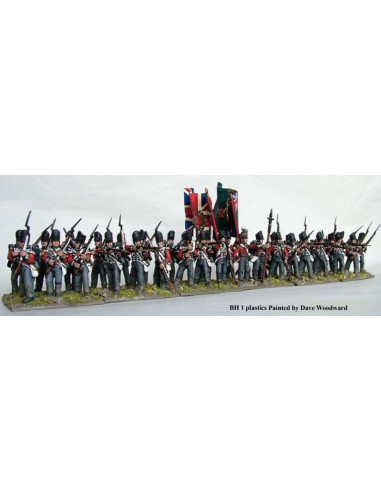Britische Linien Infanterie 1808-15