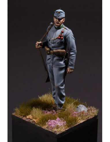 K.U.K. Common Army German Regiment