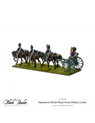Napoleonic British Royal Horse...