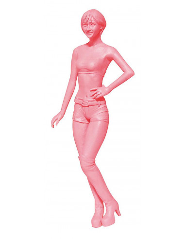 Companion Girls 1/24