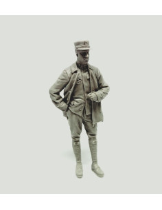 Austro-Hungarian Flying Ace...
