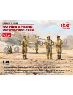 RAF Pilots in Tropical...
