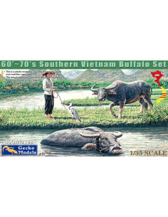 60´- 70´s Southern Vietnam...