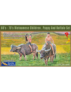 60´- 70´s Vietnamese...