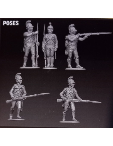 Napleonic Austrian Infantry Action